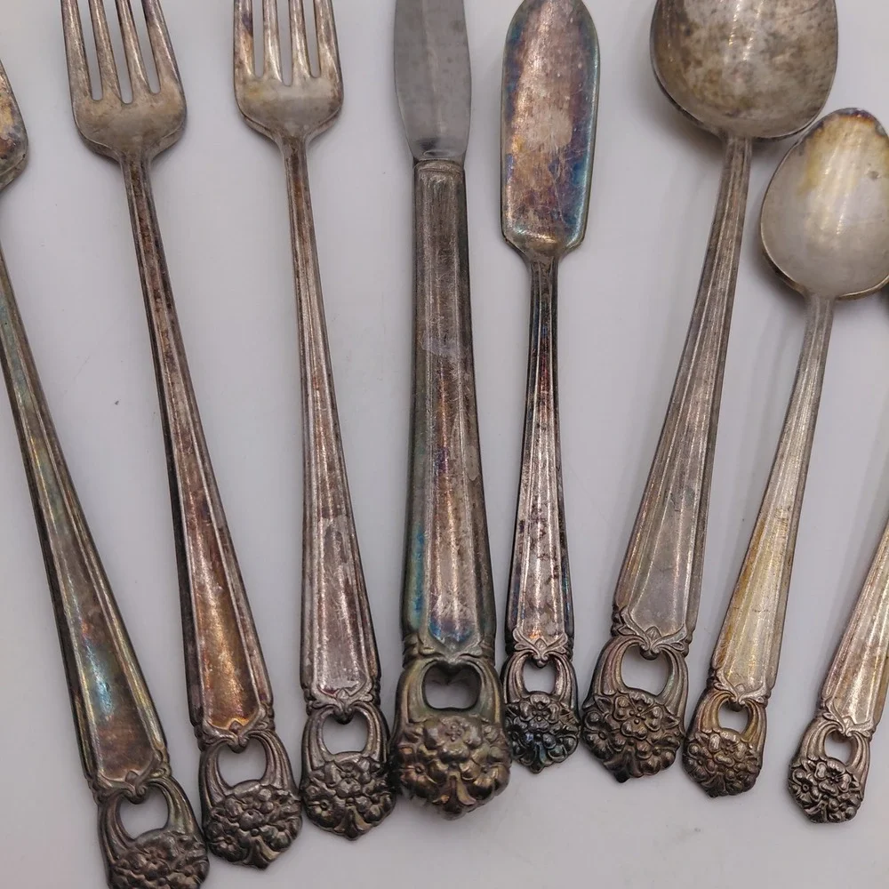 1847 Rogers Bros Eternally Yours Silverplate Flatware Lot 13 Pcs Floral Cut Out